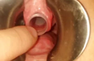 XXX સ્પોર્ટી ચિક નાના Tits સાથે પ્રેમ ગાંડ