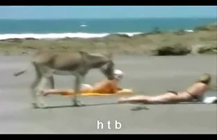 XXX સૌમ્ય સાથે સેક્સ એક સોનેરી સવારે