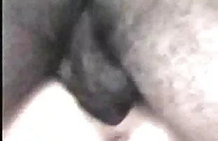 XXX યુવાન નહીં પુખ્ત કાકી પછી cunnilingus